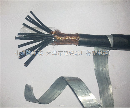 阻燃控制电缆ZR-KVVP2-22-81.5mm2价格