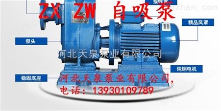 100ZX100-20自吸泵厂家
